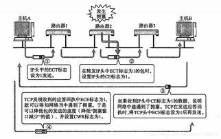 计算机网络中的IP相关技术与开发实践
