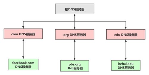 计算机网络面试题十七 地址栏输入URL后发生了什么